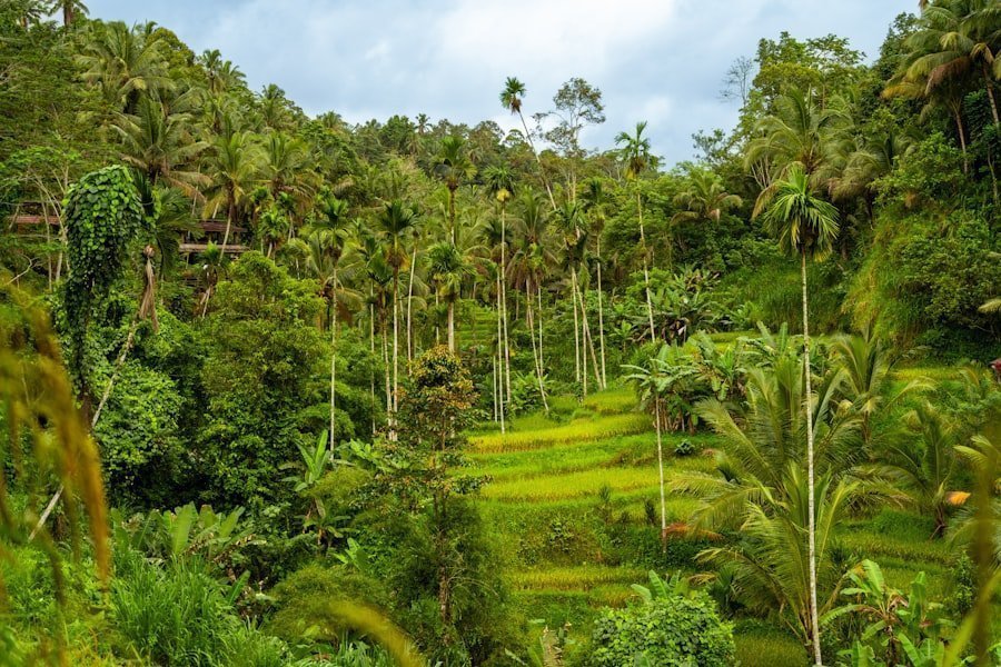 sustainable tourism