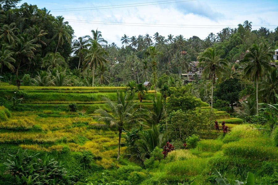 Photo sustainable tourism