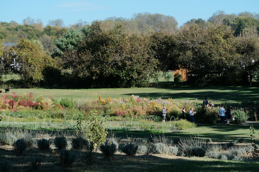 Photo agrotourism