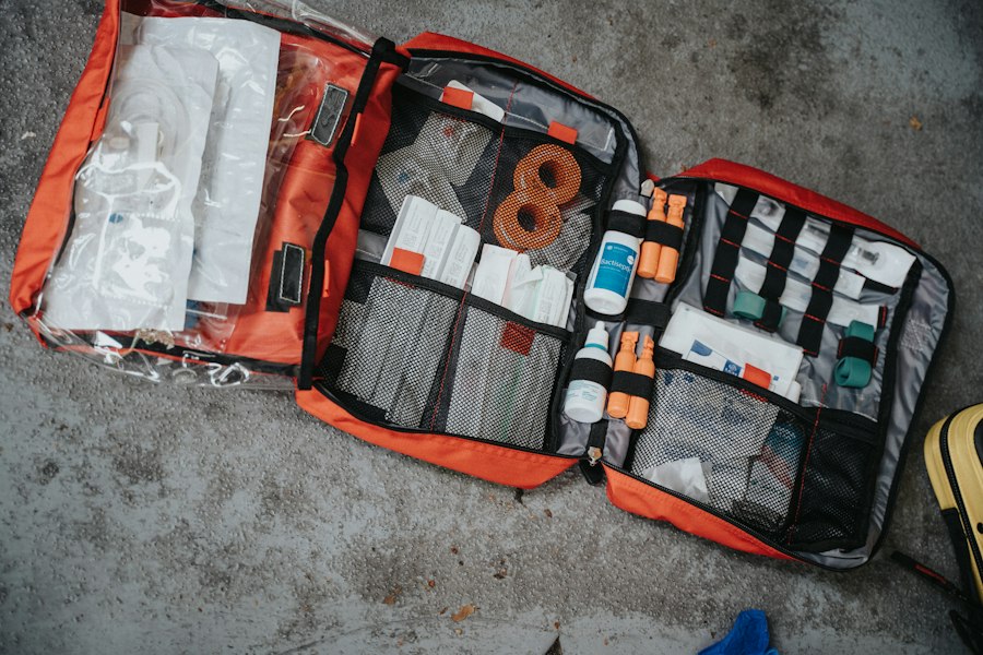 Photo emergency travel kit