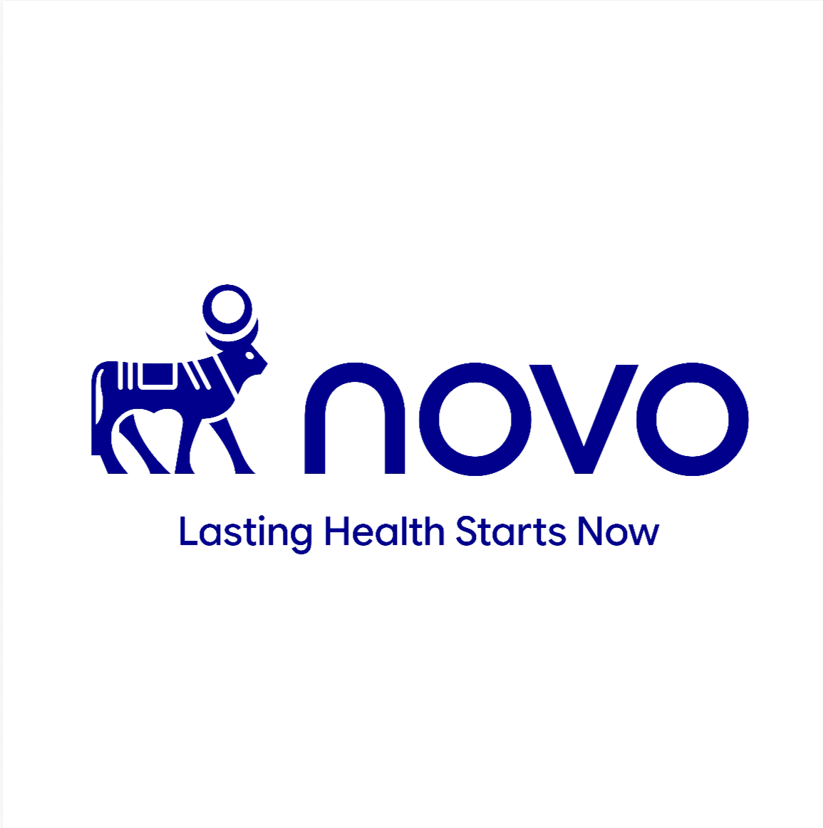Novo rebranding — raritatisifrumuseti.ro