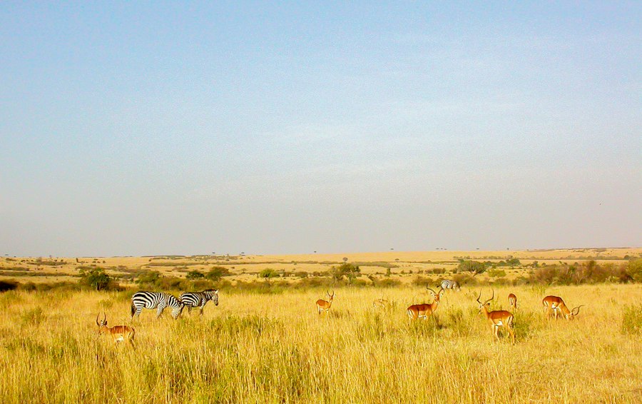 Photo protected natural reserves