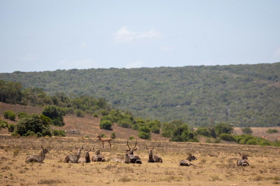 protected natural reserves