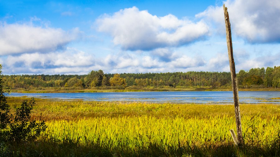 Photo natural beauty landscapes